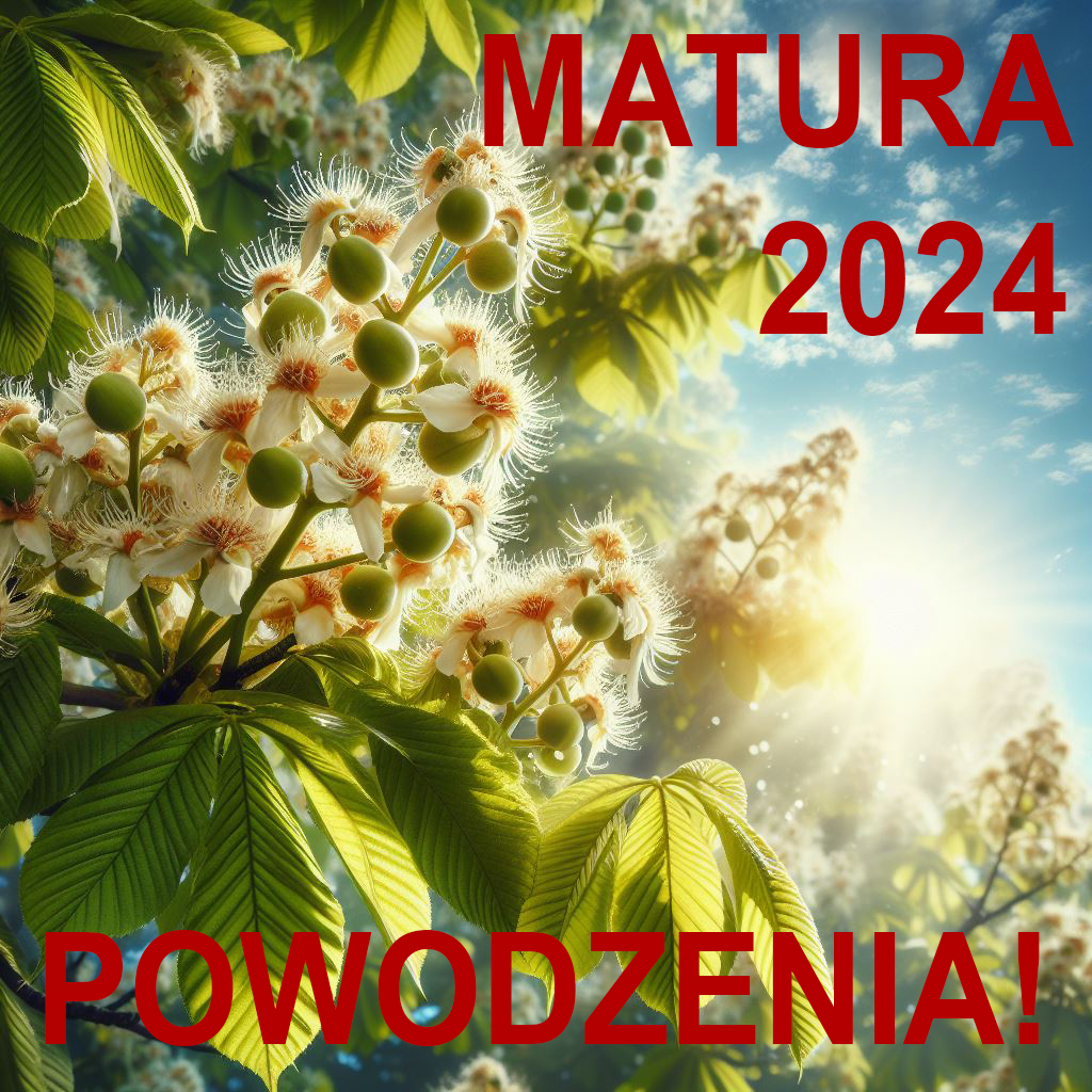 Matura 2024