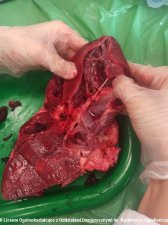 20231004-Praktyczna_biologia_w_3c-07