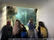 20240522-31-Hiszpania-7