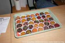 20240605-Drzwi_Otwarte-002