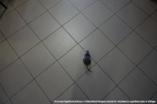 20240605-Drzwi_Otwarte-022