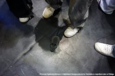 20241022-Targi_Pracy_i_Edukacji-26