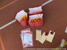 20241206-Szkolny_Mikolajkowy_Turniej_Siatkowki-12