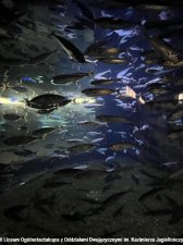 20250227-Klasa_2C_na_wycieczce_w_Gdyni-2