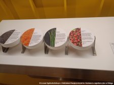 20250304-Konkurs_ZUS-10