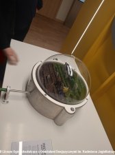 20250304-Konkurs_ZUS-12