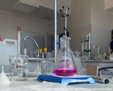 20250321-Dzien_wiosny-2b-2