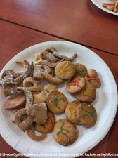 20250325-Liga_Rummikub-10