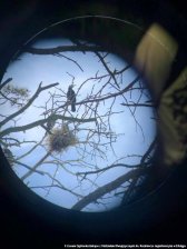 20250422-Swiatowy_Dzien_Ziemi-02