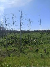 20250422-Swiatowy_Dzien_Ziemi-04