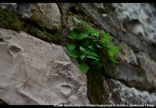 20250422-Swiatowy_Dzien_Ziemi-08