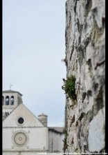 20250422-Swiatowy_Dzien_Ziemi-09