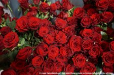 20250425-Zakonczenie_klas_maturalnych-009