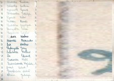 20250825-Krystyna_Olechno-6